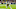 Atlanta Falcons Atlanta Falcons