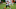 Jun 7, 2022; Miami Gardens, FL, USA; Miami Dolphins wide receiver Jaylen Waddle (17) catches a pass during OTA practice at Baptist Health Training Complex. Mandatory Credit: Jasen Vinlove-USA TODAY Sports Jun 7, 2022; Miami Gardens, FL, USA; Miami Dolphins wide receiver Jaylen Waddle (17) catches a pass during OTA practice at Baptist Health Training Complex. Mandatory Credit: Jasen Vinlove-USA TODAY Sports