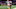 Atlanta Falcons Atlanta Falcons
