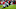 Atlanta Falcons Atlanta Falcons