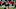 Atlanta Falcons Atlanta Falcons