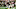 Atlanta Falcons