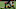 Atlanta Falcons Atlanta Falcons
