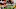 Atlanta Falcons Atlanta Falcons