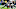 Atlanta Falcons Atlanta Falcons