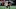 Atlanta Falcons