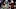 Atlanta Falcons Atlanta Falcons
