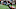 Atlanta Falcons Atlanta Falcons