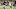 Atlanta Falcons Atlanta Falcons