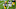 Falcons, Aaron Rodgers Falcons, Aaron Rodgers