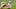 Atlanta Falcons Atlanta Falcons