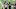 Seattle Seahawks wide receiver DK Metcalf (14) Mandatory Credit: Steven Bisig-USA TODAY Sports Seattle Seahawks wide receiver DK Metcalf (14) Mandatory Credit: Steven Bisig-USA TODAY Sports