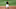 Pittsburgh Pirates infielder Erik Gonzalez was 1-for-3 last season against Cincinnati Reds starter Anthony DeSclafani. Pittsburgh Pirates infielder Erik Gonzalez was 1-for-3 last season against Cincinnati Reds starter Anthony DeSclafani.