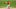 MILWAUKEE, WISCONSIN – AUGUST 09: Michael Lorenzen #21 of the Cincinnati Reds pitches in the sixth inning. (Photo by Dylan Buell/Getty Images)