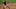 Cincinnati Reds shortstop Alex Blandino (0) fields a ground ball in the second inning of an intrasquad scrimmage. Cincinnati Reds shortstop Alex Blandino (0) fields a ground ball in the second inning of an intrasquad scrimmage.
