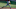 Mississippi State Bulldogs pitcher Will Bednar (24) throws. Would the Reds draft Bednar in Round 1? Mississippi State Bulldogs pitcher Will Bednar (24) throws. Would the Reds draft Bednar in Round 1?