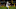 PITTSBURGH, PA – DECEMBER 02: Travis Benjamin #12 of the Los Angeles Chargers catches a pass for a 46 yard touchdown reception in the first quarter during the game against the Pittsburgh Steelers at Heinz Field on December 2, 2018 in Pittsburgh, Pennsylvania. (Photo by Justin K. Aller/Getty Images) PITTSBURGH, PA – DECEMBER 02: Travis Benjamin #12 of the Los Angeles Chargers catches a pass for a 46 yard touchdown reception in the first quarter during the game against the Pittsburgh Steelers at Heinz Field on December 2, 2018 in Pittsburgh, Pennsylvania. (Photo by Justin K. Aller/Getty Images)