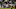 SAN DIEGO, CA – OCTOBER 12: Wide receiver Keenan Allen SAN DIEGO, CA – OCTOBER 12: Wide receiver Keenan Allen