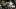 (Photo by Michael Zagaris/San Francisco 49ers/Getty Images) – LA Chargers (Photo by Michael Zagaris/San Francisco 49ers/Getty Images) – LA Chargers