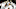 (Photo by Sean Gardner/Getty Images) – LA Chargers (Photo by Sean Gardner/Getty Images) – LA Chargers