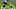 (Photo by Ethan Miller/Getty Images) – LA Chargers (Photo by Ethan Miller/Getty Images) – LA Chargers