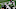 (Photo by Elsa/Getty Images) – LA Chargers (Photo by Elsa/Getty Images) – LA Chargers