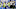 (Photo by Gregory Shamus/Getty Images) – LA Chargers (Photo by Gregory Shamus/Getty Images) – LA Chargers