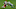 (Photo by Mark Brown/Getty Images) – LA Chargers (Photo by Mark Brown/Getty Images) – LA Chargers