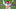 (Photo by Chris Graythen/Getty Images) – LA Chargers (Photo by Chris Graythen/Getty Images) – LA Chargers