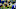 (Photo by Dylan Buell/Getty Images) – LA Chargers