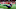 (Photo by Adam Glanzman/Getty Images) – Los Angeles Chargers (Photo by Adam Glanzman/Getty Images) – Los Angeles Chargers