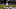 (Photo by Jonathan Bachman/Getty Images) – LA Chargers (Photo by Jonathan Bachman/Getty Images) – LA Chargers
