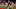 (Photo by Chris Gardner/Getty Images) – LA Chargers (Photo by Chris Gardner/Getty Images) – LA Chargers