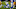 (Photo by Katharine Lotze/Getty Images) – LA Chargers (Photo by Katharine Lotze/Getty Images) – LA Chargers