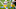 (Photo by Andy Lyons/Getty Images) – LA Chargers (Photo by Andy Lyons/Getty Images) – LA Chargers