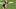 (Photo by Matthew Stockman/Getty Images) – LA Chargers (Photo by Matthew Stockman/Getty Images) – LA Chargers