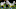 (Photo by Chris Graythen/Getty Images) – LA Chargers (Photo by Chris Graythen/Getty Images) – LA Chargers