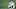 (Photo by Tom Pennington/Getty Images) – LA Chargers (Photo by Tom Pennington/Getty Images) – LA Chargers