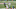 (Photo by Jim McIsaac/Getty Images) – LA Chargers (Photo by Jim McIsaac/Getty Images) – LA Chargers