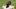 (Photo by Michael Reaves/Getty Images) – LA Chargers (Photo by Michael Reaves/Getty Images) – LA Chargers