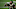 (Photo by Chris Graythen/Getty Images) – LA Chargers (Photo by Chris Graythen/Getty Images) – LA Chargers