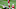 (Photo by Christian Petersen/Getty Images) – LA Chargers (Photo by Christian Petersen/Getty Images) – LA Chargers