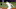 ZAPOPAN, MEXICO – NOVEMBER 03: Tanner Houck #31 of USA pitches during the WBSC Premier 12 Group A match between Mexico and USA at Estadio de Beisbol Charros de Jalisco on November 3, 2019 in Zapopan, Mexico. (Photo by Refugio Ruiz/Getty Images) ZAPOPAN, MEXICO – NOVEMBER 03: Tanner Houck #31 of USA pitches during the WBSC Premier 12 Group A match between Mexico and USA at Estadio de Beisbol Charros de Jalisco on November 3, 2019 in Zapopan, Mexico. (Photo by Refugio Ruiz/Getty Images)