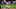 SEATTLE, WA – AUGUST 08: David Dahl #26 of the Colorado Rockies (Photo by Stephen Brashear/Getty Images) SEATTLE, WA – AUGUST 08: David Dahl #26 of the Colorado Rockies (Photo by Stephen Brashear/Getty Images)