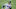 ARLINGTON, TEXAS – OCTOBER 25: Joc Pederson #31 of the Los Angeles Dodgers (Photo by Tom Pennington/Getty Images) ARLINGTON, TEXAS – OCTOBER 25: Joc Pederson #31 of the Los Angeles Dodgers (Photo by Tom Pennington/Getty Images)