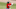 Red Sox prospect Triston Casas Red Sox prospect Triston Casas