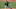 Red Sox lefty Eduardo Rodriguez Red Sox lefty Eduardo Rodriguez