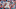 Phillies LHP BRad Hand Phillies LHP BRad Hand