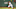 BOSTON, MA – AUGUST 05: Mookie Betts (Photo by Adam Glanzman/Getty Images) BOSTON, MA – AUGUST 05: Mookie Betts (Photo by Adam Glanzman/Getty Images)