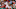 BOSTON, MA – OCTOBER 09: Xander Bogaerts (Photo by Elsa/Getty Images) BOSTON, MA – OCTOBER 09: Xander Bogaerts (Photo by Elsa/Getty Images)
